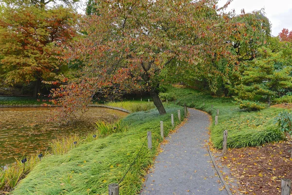ニューヨーク州ブルックリン植物園 日本で最も古く 最も訪問された日本庭園の1つである日本の丘池庭園の曲がりくねった道 — ストック写真