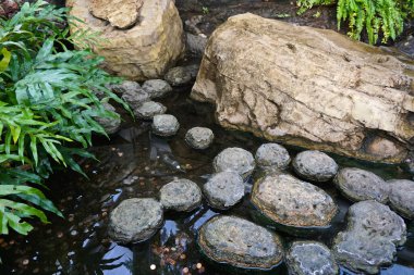 Yuvarlak taşlar ve bitkilerle dolu bir gölette, bahçeye bırakılmış bozuk paralar..