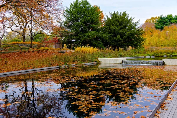 Bronx Nueva York Árboles Hojas Otoñales Reflejados Una Piscina Aire —  Fotos de Stock