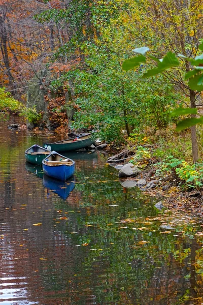 美国纽约州布朗克斯市 1891年建成的250英亩纽约植物园 秋色森林中的一条溪流上的蓝色和绿色独木舟 — 图库照片