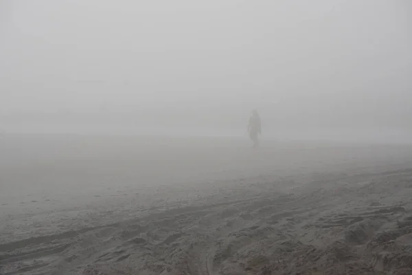 Amelia Island Florida Usa Silhouetten Nebel American Beach Atlantik — Stockfoto