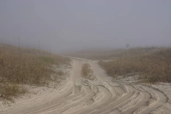 Amelia Island Florida Usa Tire Tracks Sand Mist Covered American — 스톡 사진