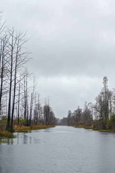 Okefenokee National Wildlife Refuge Georgia Usa Trees Line Waterway Swamp — Stockfoto