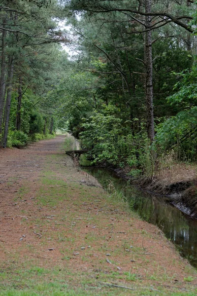 Sentier White Tail Pour Randonnée Marche Dans Parc État Janes — Photo