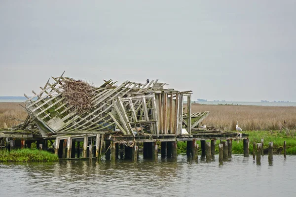 弗吉尼亚史密斯岛切萨皮克湾蟹屋的残骸 几个世纪以来 由于海拔低和风暴侵蚀 该岛的面积一直在缩小 — 图库照片