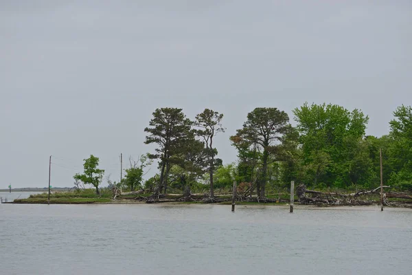 Pobřeží Smith Island Virginii Zátoce Chesapeake Ostrov Zmenšuje Staletí Díky — Stock fotografie