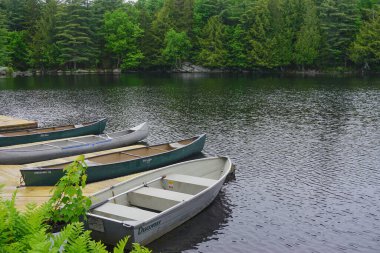 Adirondack Park, New York: Kanolar ve kayıklar Sagamore Gölü 'ndeki ahşap bir rıhtıma bağlandı, parlak bir yaz gününde her yer yemyeşil ağaçlarla çevrili.