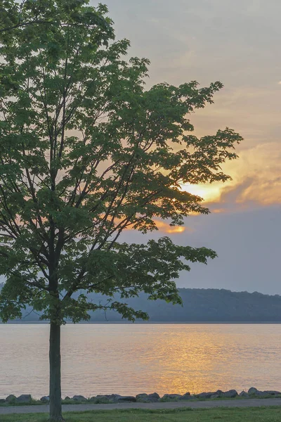 Dobbs Ferry New York Silhuetten Ett Träd Bredvid Stig Vid — Stockfoto