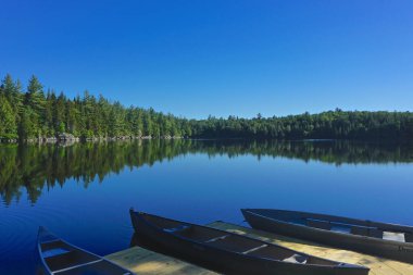 Adirondack Park, New York: Kanolar Sagamore Gölü 'ndeki ahşap bir rıhtıma bağlı, parlak bir yaz gününde her yer yeşil ağaçlarla çevrili..