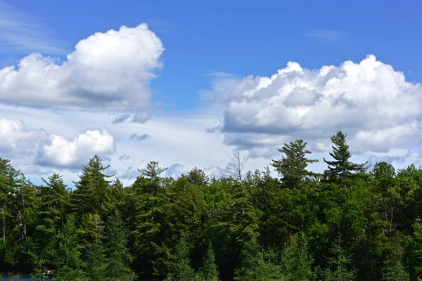 Adirondack Park, New York: Clouds over a forest.