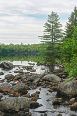 Adirondack Park, New York: Ön planda kayaların üzerinden akan bir akarsu ile Sagamore Gölü manzarası.
