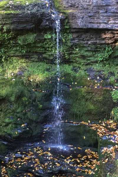 Dingmans Ferry Pennsylvania One Waterfall Dingmans Creek George Childs Recreation — стокове фото