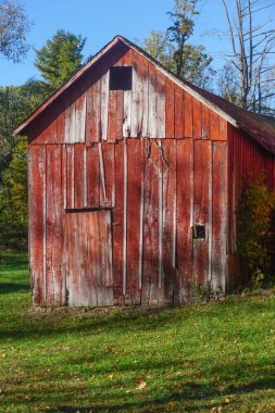 Pocono Dağları, Pennsylvania, ABD: Soluk kırmızı boyalı terk edilmiş bir ahırın önünde, yerde sonbahar yaprakları.