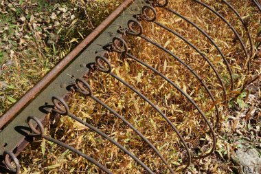 Paslı, antika bir tarım makinesinin ayrıntıları. Güneş ışığındaki altın çimen tarlasında..
