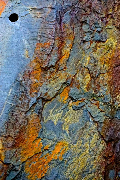 Pocono Mountains Pennsylvania Close Veins Weathered Rock Forming Abstract Designs — Stock Photo, Image