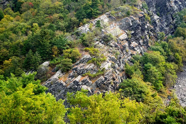 Point Gap Overlook Delaware Water Gap Pennsylvania Bomen Struiken Groeien — Stockfoto