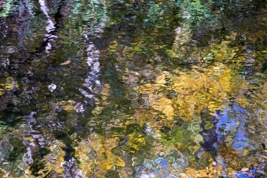 Pocono Dağları, Pennsylvania: Bir deredeki ağaçların ve sonbahar yapraklarının yansımaları izlenimci desenler ve dokular yaratır.