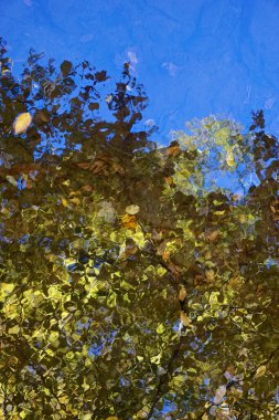 Pocono Dağları, Pennsylvania: Bir deredeki ağaçların ve sonbahar yapraklarının yansımaları izlenimci desenler ve dokular yaratır.