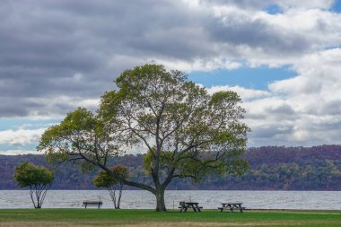 Croton-on-Hudson, New York, ABD: Westchester County Hudson Nehri boyunca ağaçlar ve piknik masaları; arka planda sonbahar yaprakları.