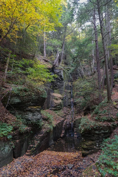 Delaware Township Pike County Pennsylvania Usa Осіннє Листя Оточує Водоспад — стокове фото