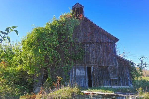 Summit Nueva Jersey Granero Abandonado Cubierto Hiedra Rodeado Árboles Arbustos — Foto de Stock