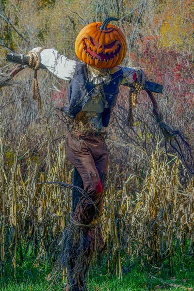 Bronx New York Halloween Scarecrow Carved Pumpkin Head White Shirt — Stock Photo, Image