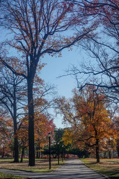 Pelham Bay Park Bronx Nowy Jork Usa Drzewa Jesienią Liści — Zdjęcie stockowe