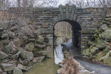 New York, New York: Bulutlu bir günde, Central Park 'ın kuzeybatı kesimindeki Glen Yayı' nın altından bir dere akar.