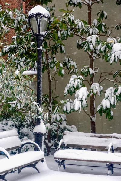 New York Old Fashioned Street Lamp Trees Benches Covered Snow — Stock Photo, Image