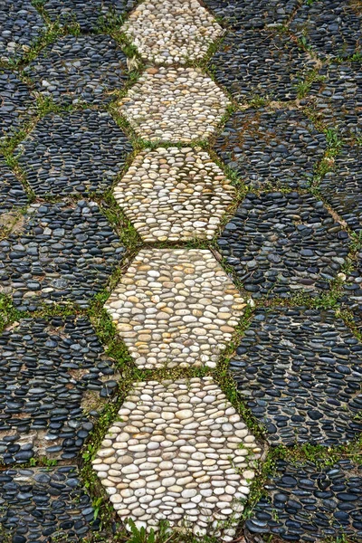 Grass Growing Light Dark Pebbles Arranged Hexagonal Geometric Patterns — Stock Photo, Image