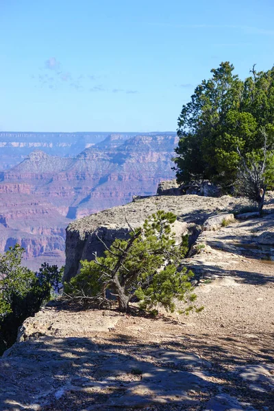 Grand Canyon National Park Arizona Zijn Geen Hekken Barrières Dit — Stockfoto