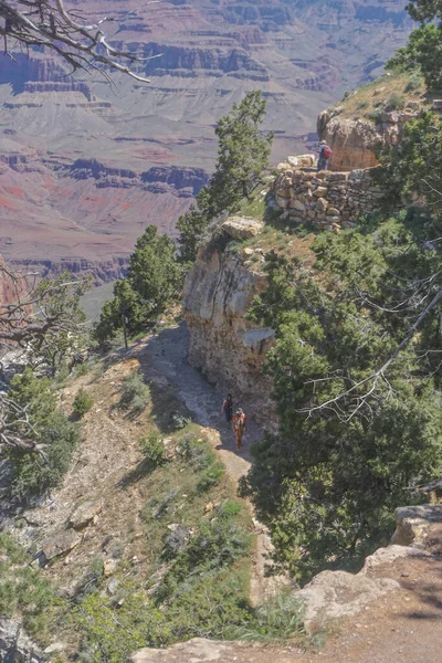 亚利桑那州大峡谷国家公园 游客在南缘环路西端不同层次的小径上行走 — 图库照片