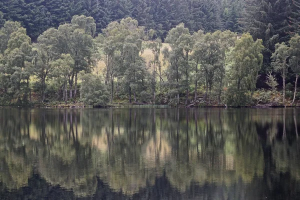 苏格兰高地宁静湖中的树木倒影 — 图库照片