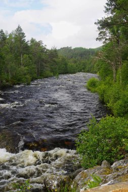 Glen Affric Ulusal Doğa Rezervi, İskoçya, İngiltere: Affric Nehri genellikle İskoçya 'nın en güzel nehri olarak tanımlanan dere boyunca akar.