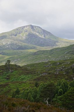 Glen Affric Ulusal Doğa Rezervi, İskoçya: Glen Affric, İskoçya 'nın en güzel vadisi olarak tanımlanır, ülkedeki en büyük antik Kaledonya çam ağaçlarından birine sahiptir..