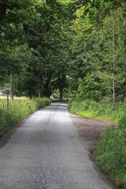 İskoçya 'nın dağlık kesimlerinde tek şeritli bir yol üzerinden geçen bir yer. Yolun sağındaki temiz alan araçların kenara çekip gelen trafiğin geçmesine izin vermek için..