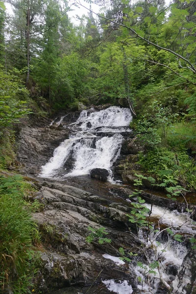 Plodda Falls Populární Turistická Atrakce Vodopád Nachází Jihozápadně Vesnice Tomich — Stock fotografie