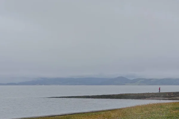 Yalnız Bir Insan Sisli Havada Chanonry Point Kıyısında Yürüyor Skoçya — Stok fotoğraf