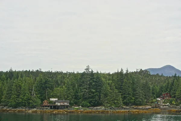 Ketchikan Alaska Bos Huizen Langs Kust Van Tongass Narrows Nabij — Stockfoto