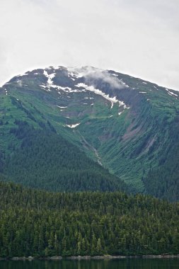 Endicott Arm, Alaska, ABD: Endicott Arm 'da bulutlu bir gökyüzü altında ağaçlarla kaplı bir vadi, Pasifik' in kuzeybatısında bir fiyort.