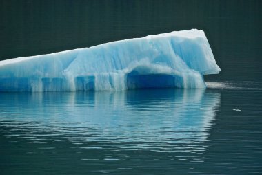 Endicott Arm, Alaska: Kuzeybatı Pasifik 'teki bir fiyortta Dawes Buzulu' ndan doğan parlak renkli bir buzdağı.