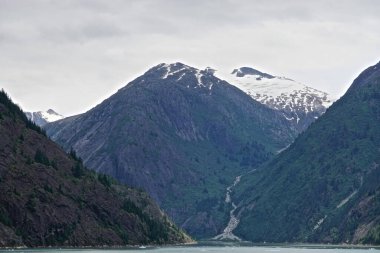 Endicott Arm, Alaska: Pasifik 'in kuzeybatısındaki bir fiyordun parlak yeşil buzul sularına bir şelale akıyor.
