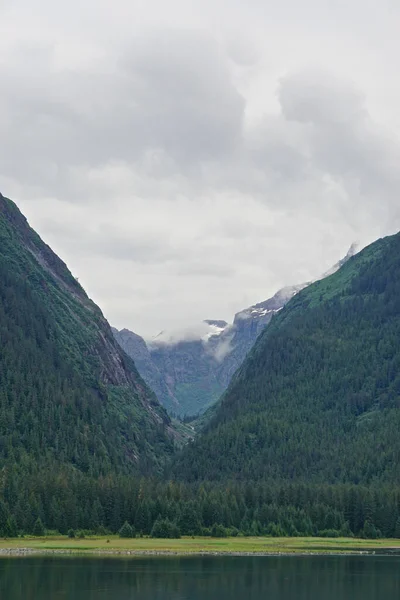 Endicott Arm Aljaška Usa Údolí Lemované Stromy Pod Zamračenou Oblohou — Stock fotografie