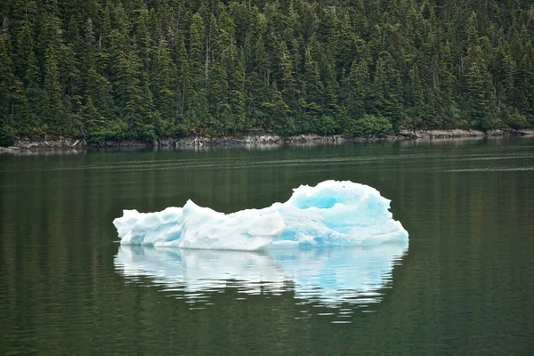 アラスカ州エンディコット アーム 太平洋岸北西部のフィヨルドで ドーズ氷河から切り出された鮮やかな水色の氷山 — ストック写真