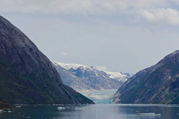 Endicott Arm Alaska Usa Dawes Glacier Тече Вкритих Снігом Гір — стокове фото