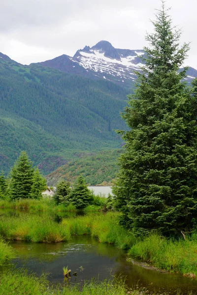 Juneau Alaska Usa Marshland Montagne Innevate Sul Lago Mendenhall Vicino — Foto Stock