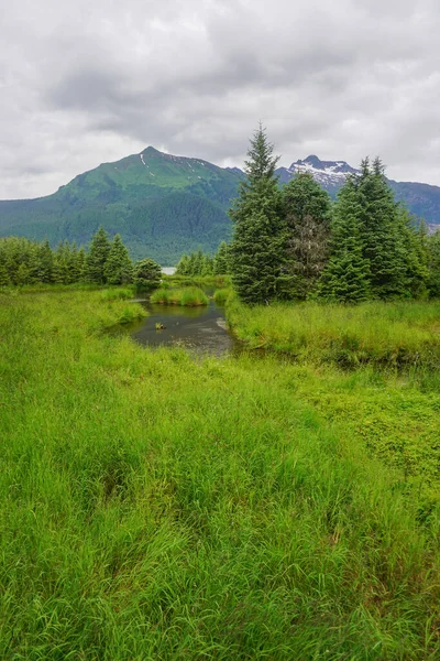 Juneau Alaska Usa Marshland Och Snötäckta Berg Vid Mendenhall Lake — Stockfoto