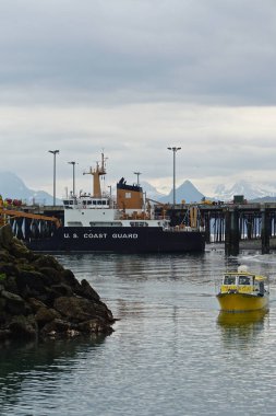 Homer, Alaska: Bulutlu bir temmuz sabahı, Sahil Güvenlik gemisi Homer, Alaska 'daki marinaya yanaştı.