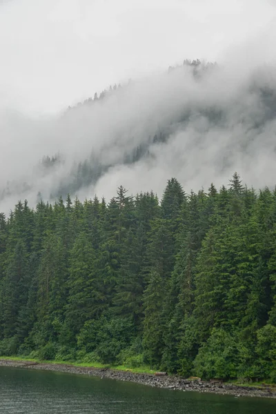 Hoonah Alaska Des Nuages Brume Balayent Une Forêt Dense Pins — Photo