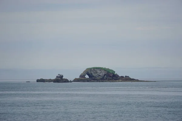 Gull Island Alaska One Many Small Islands Kachemak Bay Gull — Stock Photo, Image